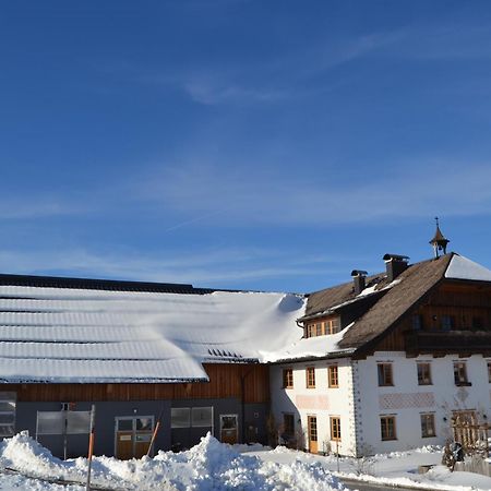 Vorderreithbauer Appartement Hof bei Salzburg Buitenkant foto