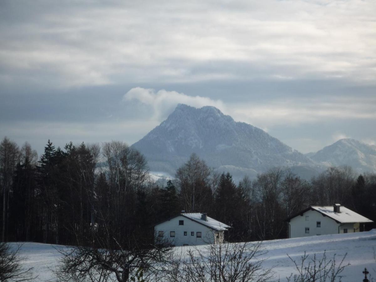 Vorderreithbauer Appartement Hof bei Salzburg Buitenkant foto