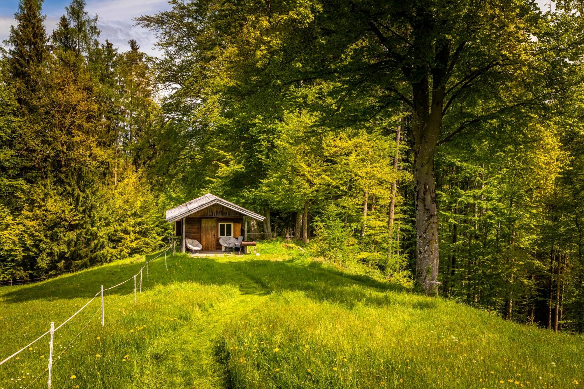 Vorderreithbauer Appartement Hof bei Salzburg Buitenkant foto